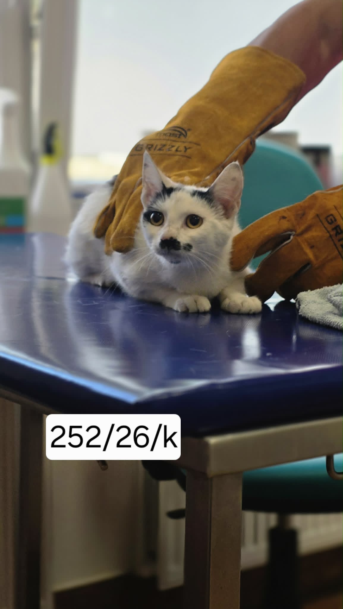 252