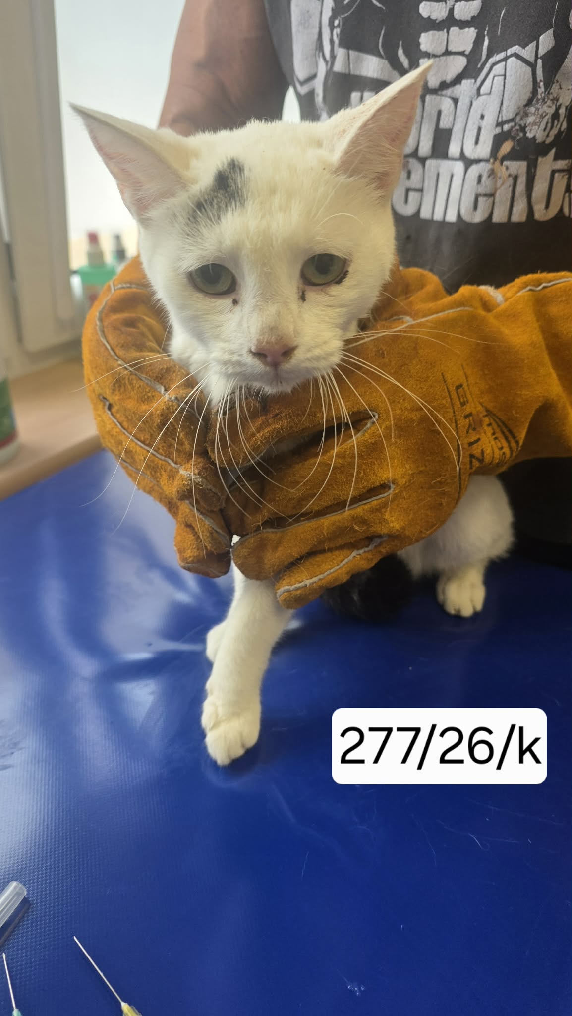 277