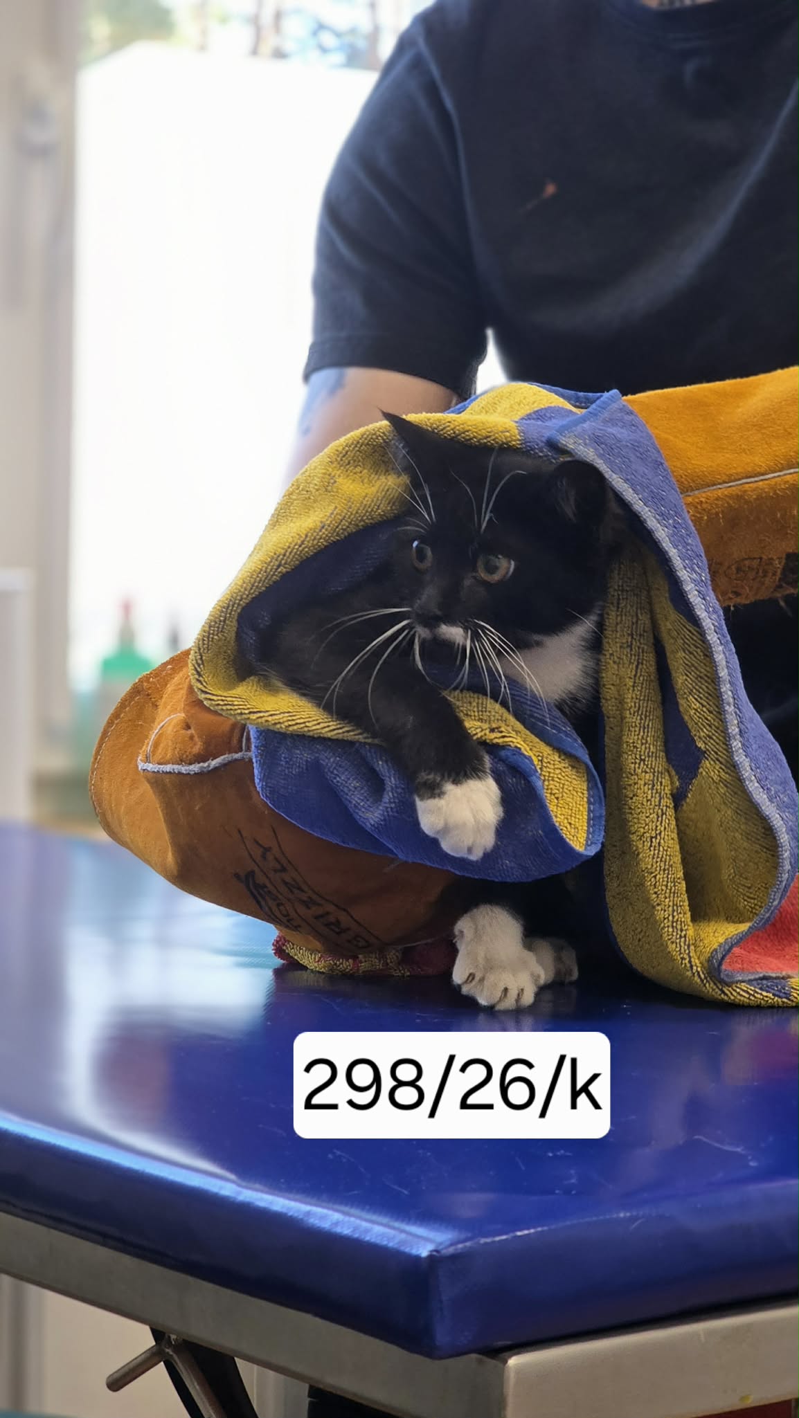 298