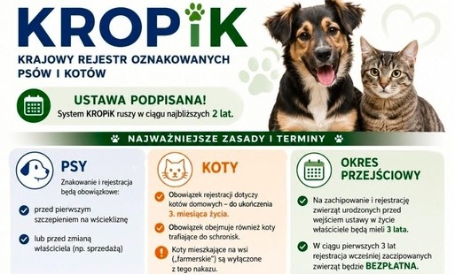 Zdjęcie do KROPiK
